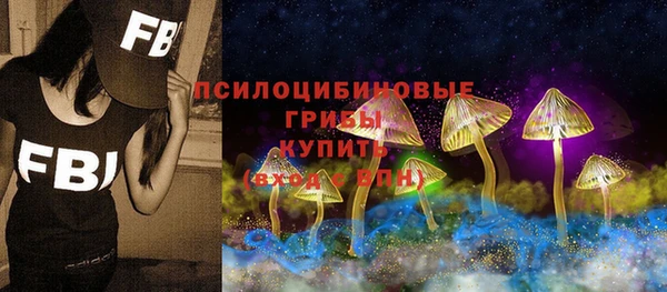не бодяженный Осинники