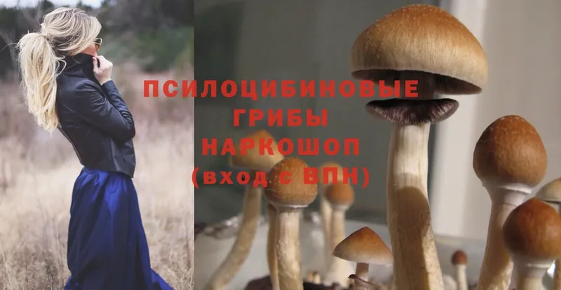 Галлюциногенные грибы MAGIC MUSHROOMS  нарко площадка как зайти  Бабушкин  что такое  